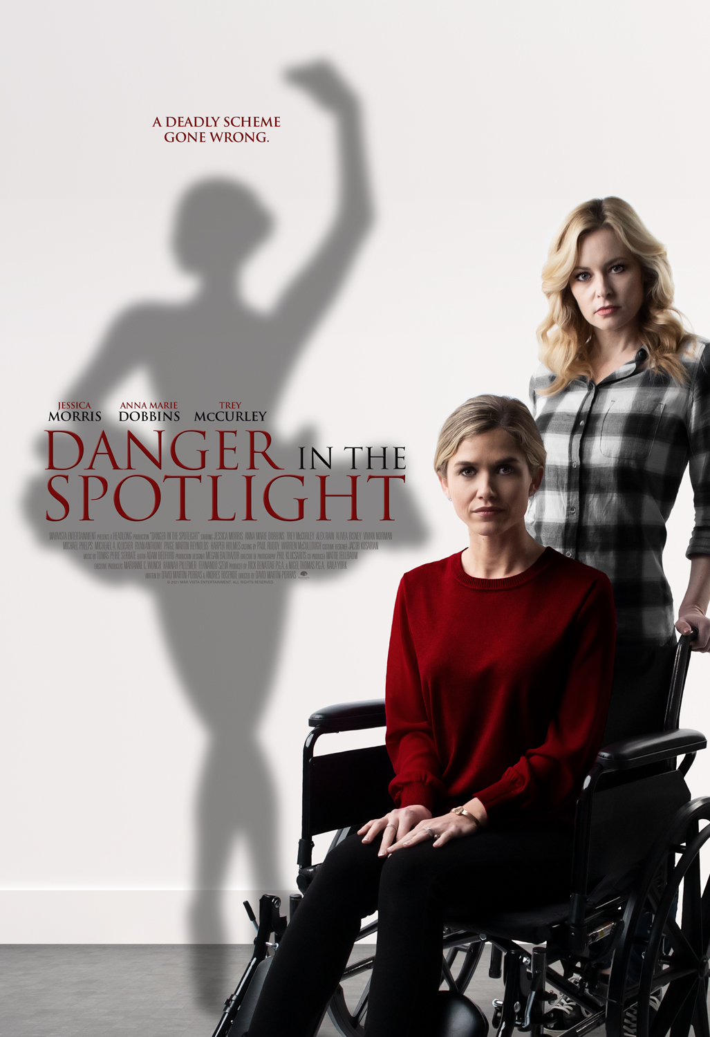 Danger in the Spotlight (2021)