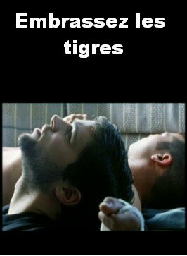 Обнимите тигров (2004)